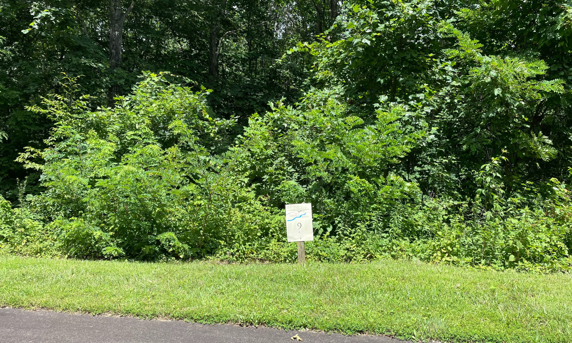 Blue Ridge Mountain Acreage in Jefferson NC